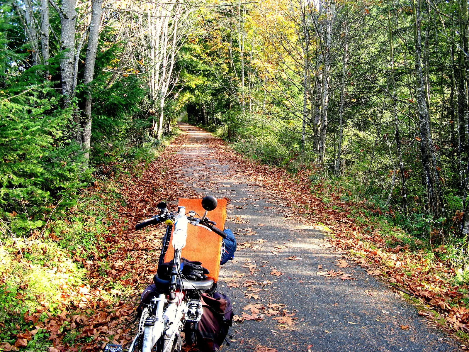 Autumn on Nanaimos Parkway Trail (5109367432)