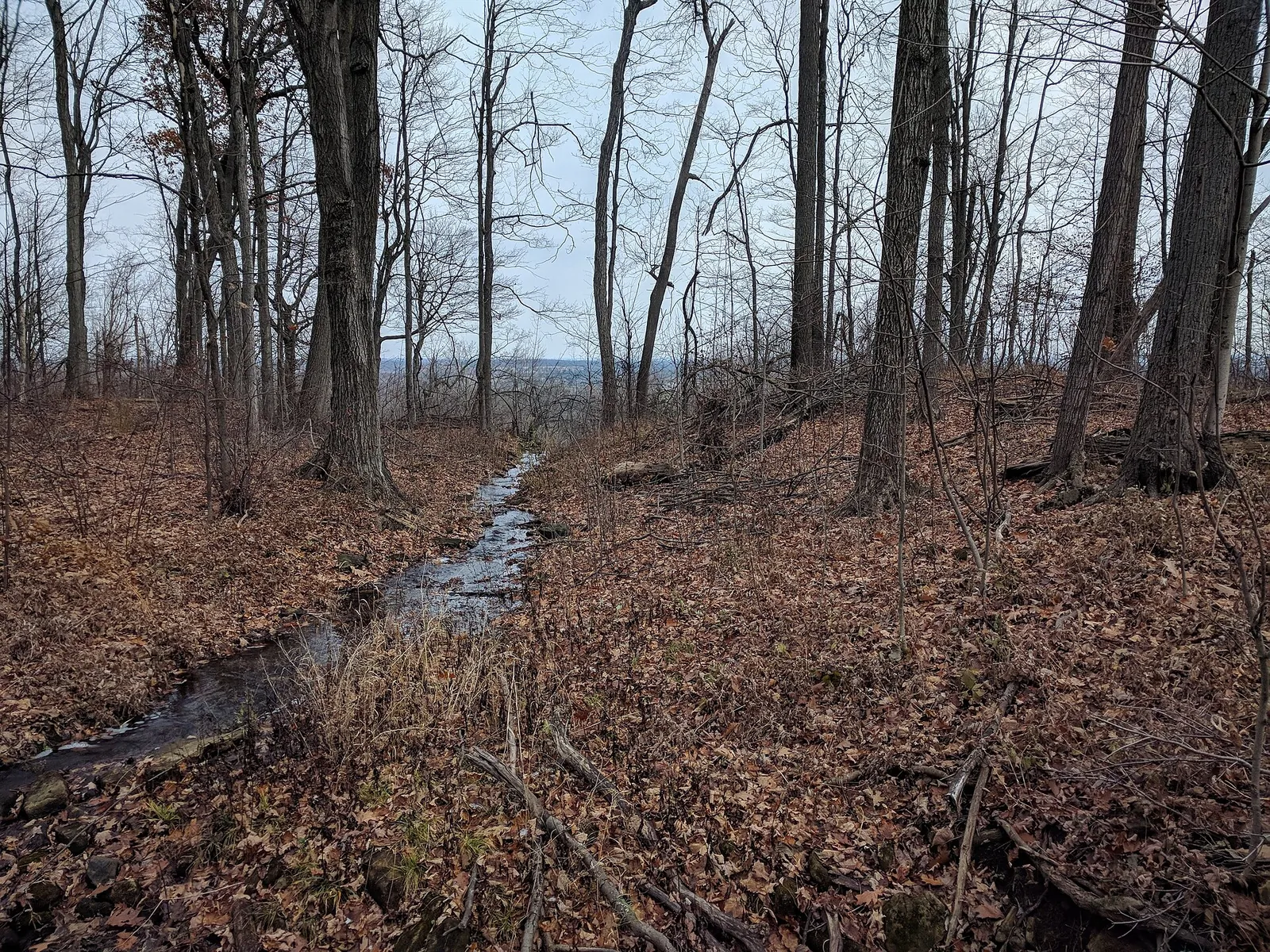 Hilton Falls to Fourth Line (45812699642)