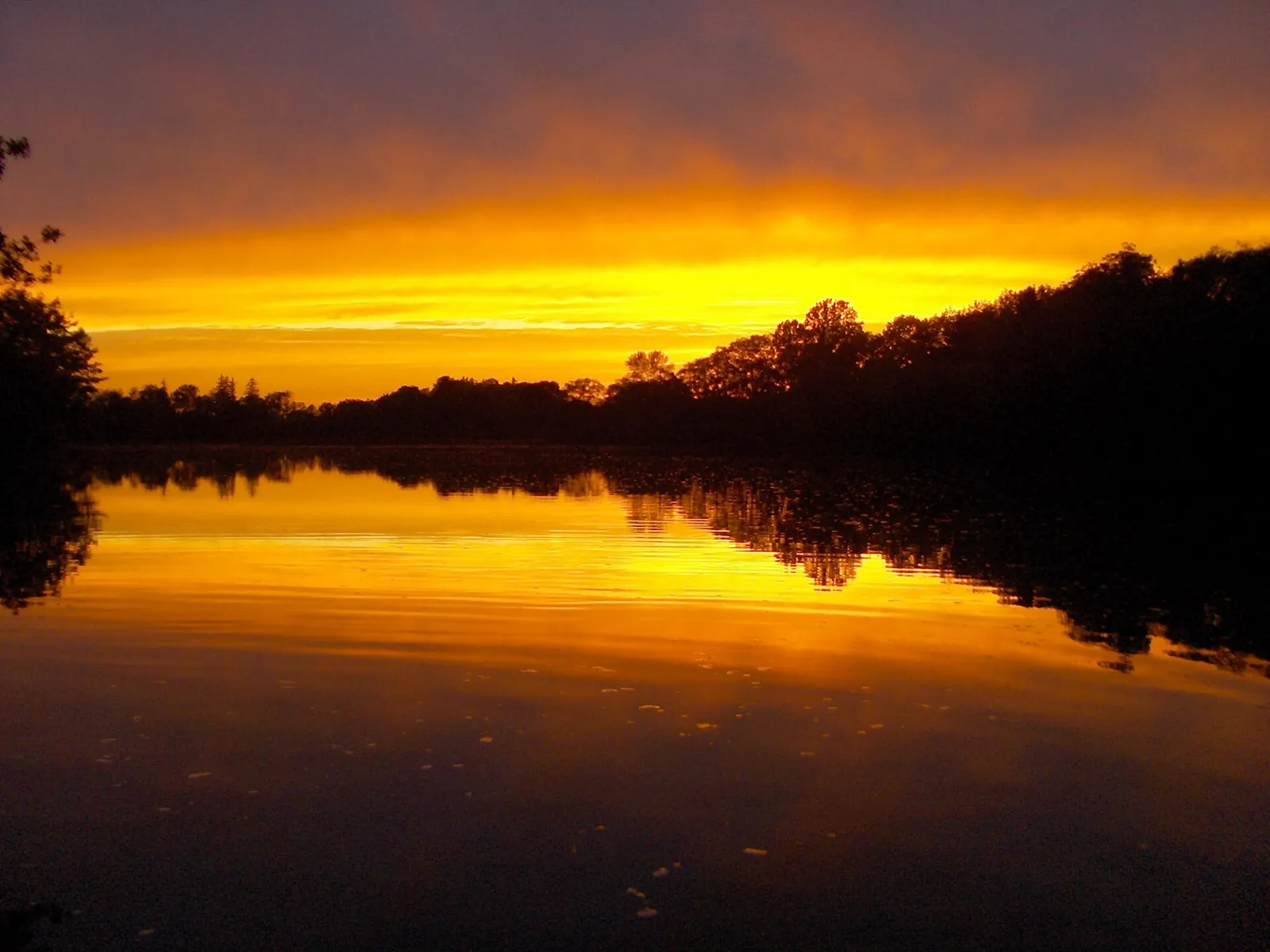 Lake Gibson (2205028845)