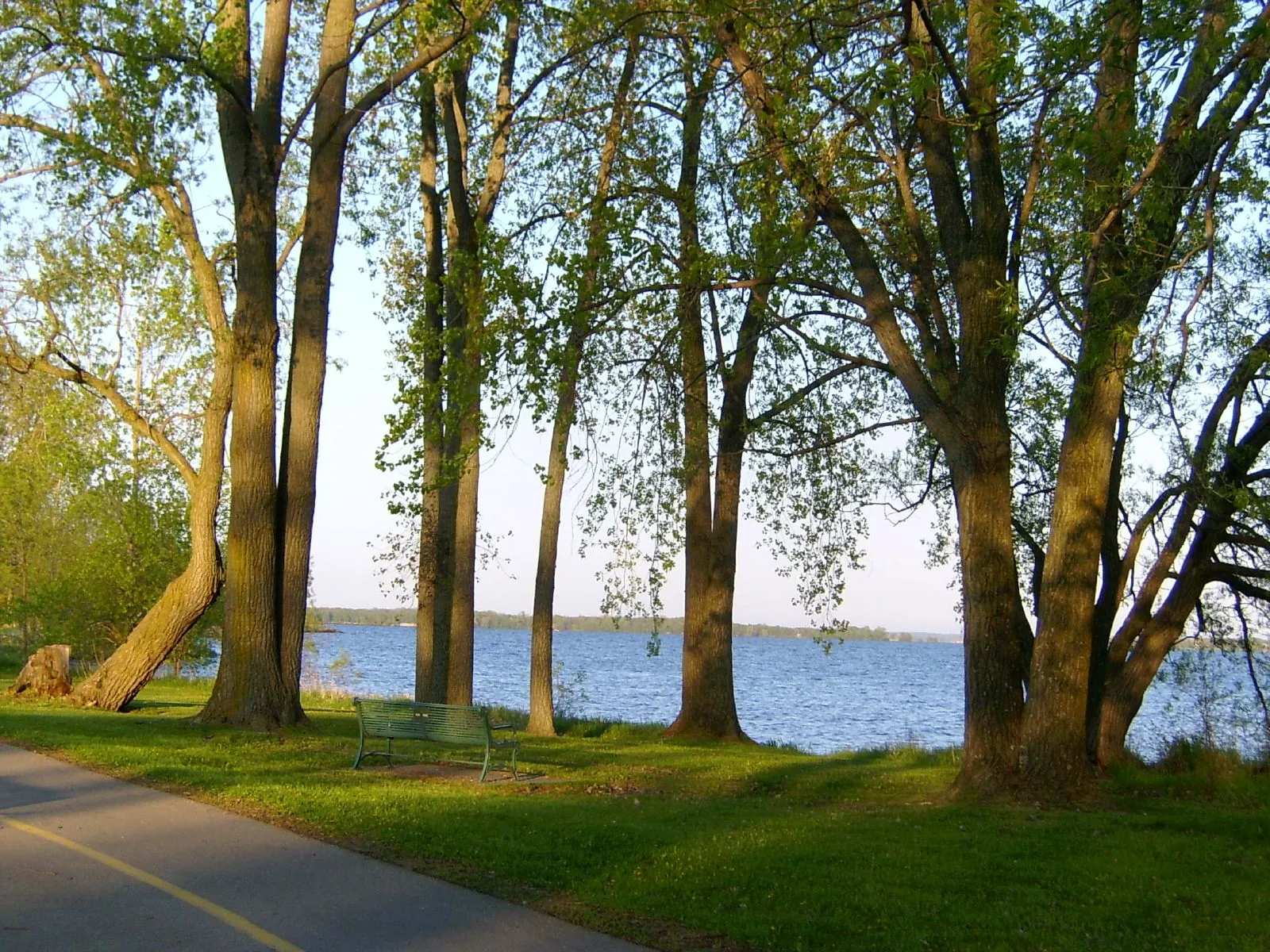 Bay of Quinte (508518858)